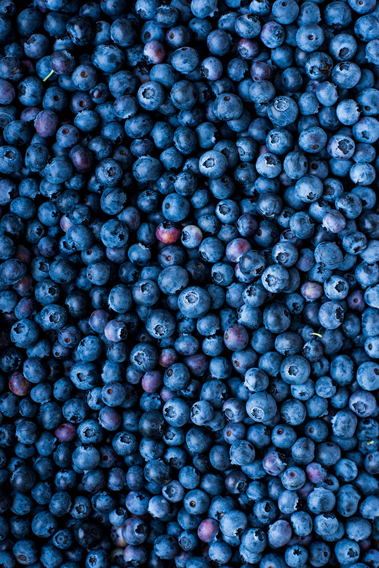 fresh blueberries crowded kitchen