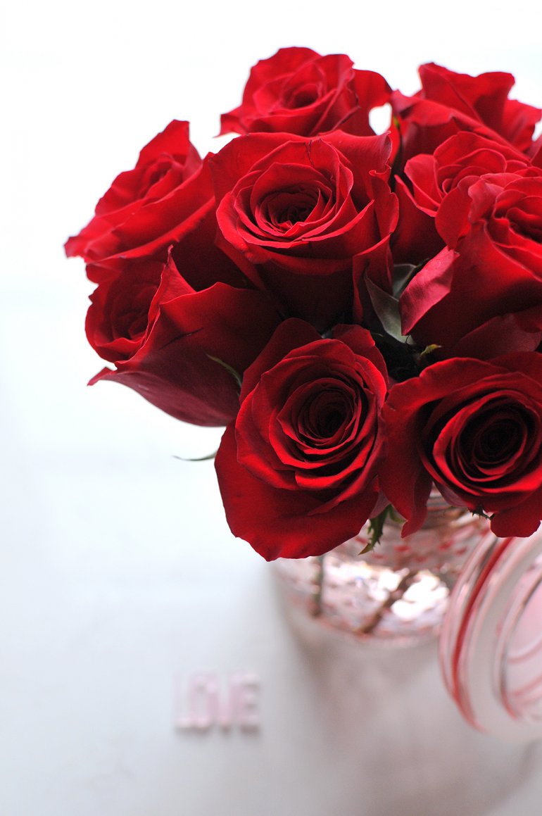 gorgeous roses for valentines day