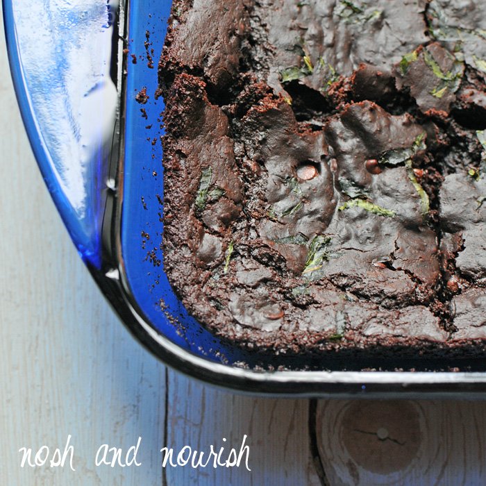 Beach Vacation + {Fudgy Mocha Mint Brownies} Nosh and Nourish