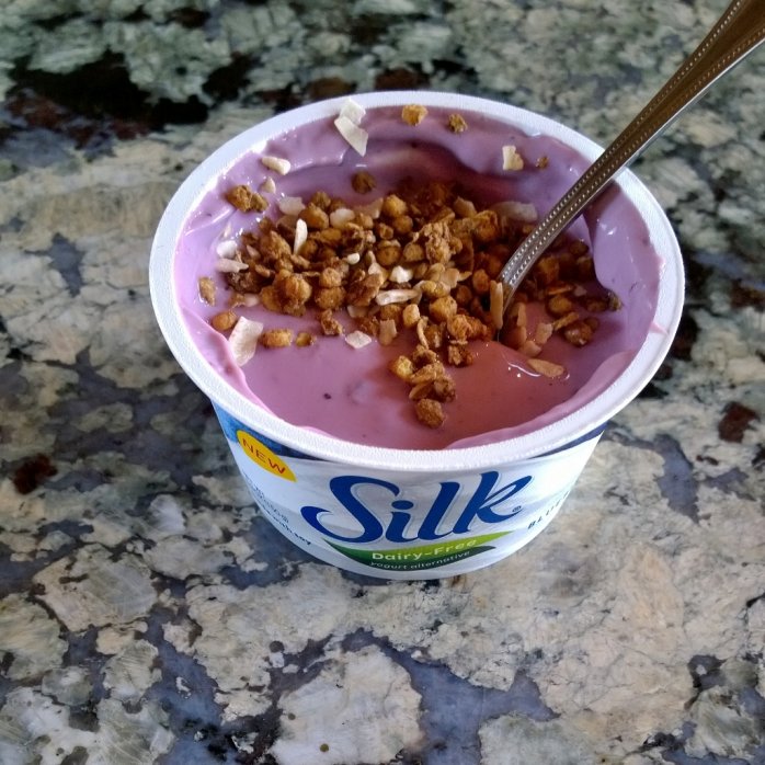 Silk Dairy Free Yogurt Alternative