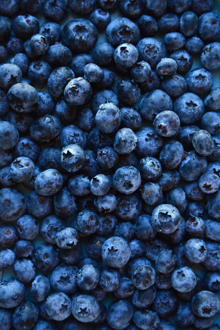 blueberries close up kelly