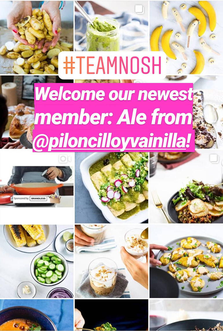 team nosh newest addition Ale Piloncilloyvainilla