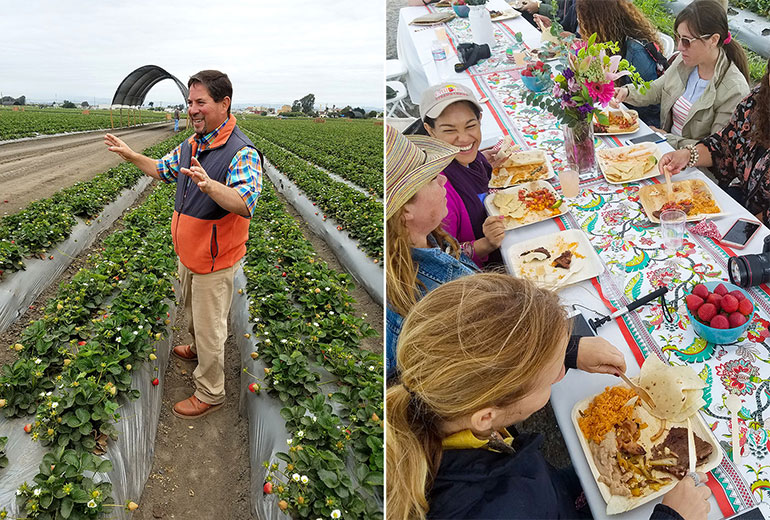 strawberry farmer and farm to table lunch